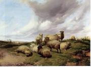 unknow artist Sheep 146 Germany oil painting artist